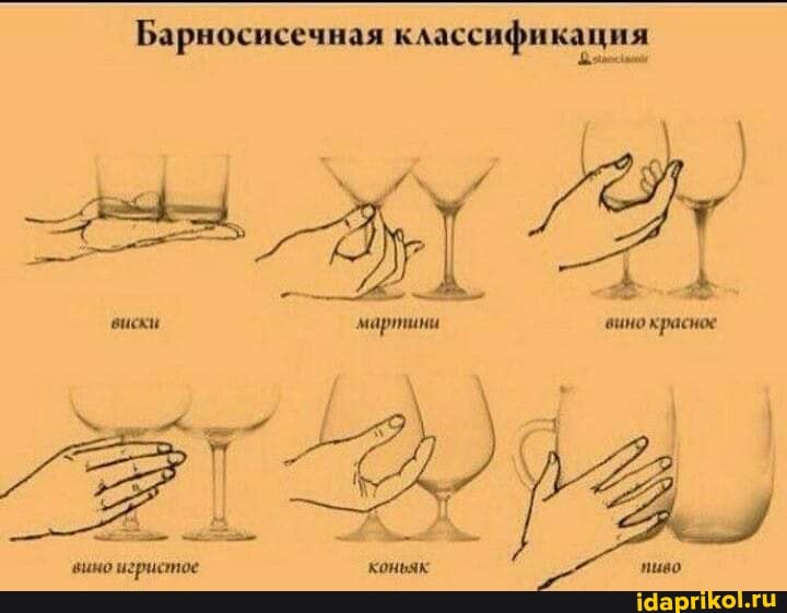 Барносисечная классификация
виски мартини вино красное
вимо игристое