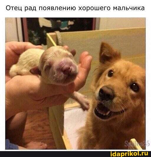 Отец рад появлению хорошего мальчика