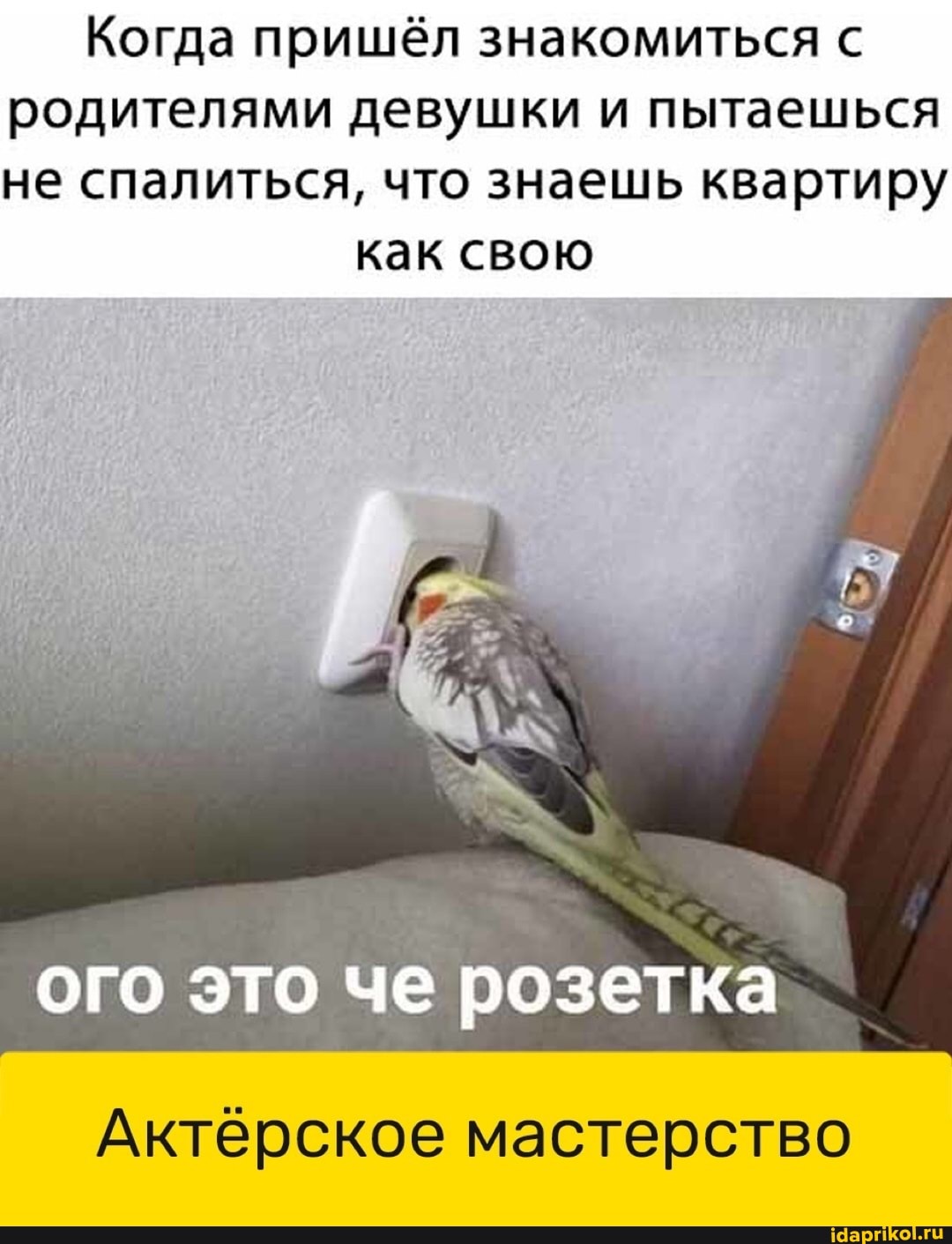 Когда пришёл знакомиться с родителями девушки и пытаешься не спалиться, что знаешь квартиру
как свою
ого это че розетка
Актёрское мастерство