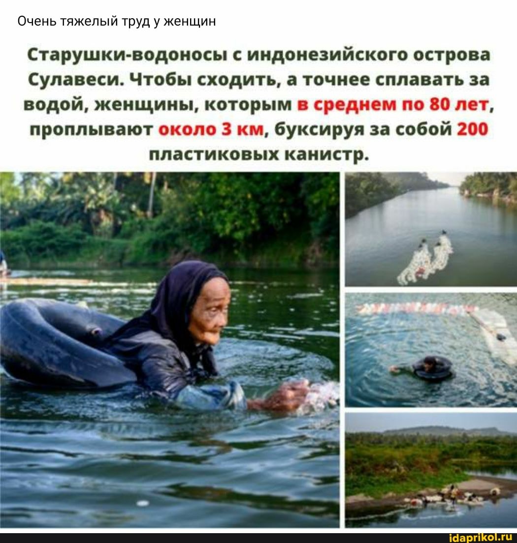 старушки Очень тяжелый труд у женщин Старушки-водоносы с индонезийского острова  Сулавеси. Чтобы сходить, а точнее сплавать за водой, женщины, которым в  среднем по 80 лет, проплывают около 3 км, буксируя за собой 200