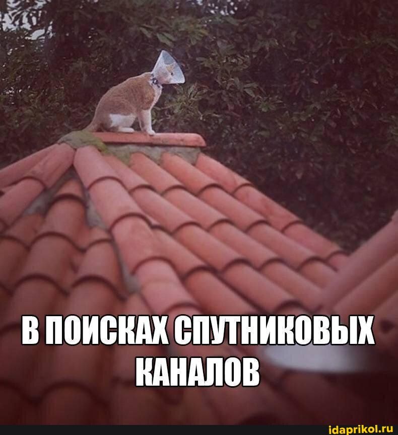 ' С,
В ПОИСКАХ СПУТНИКОВЫХ КАНАЛОВ