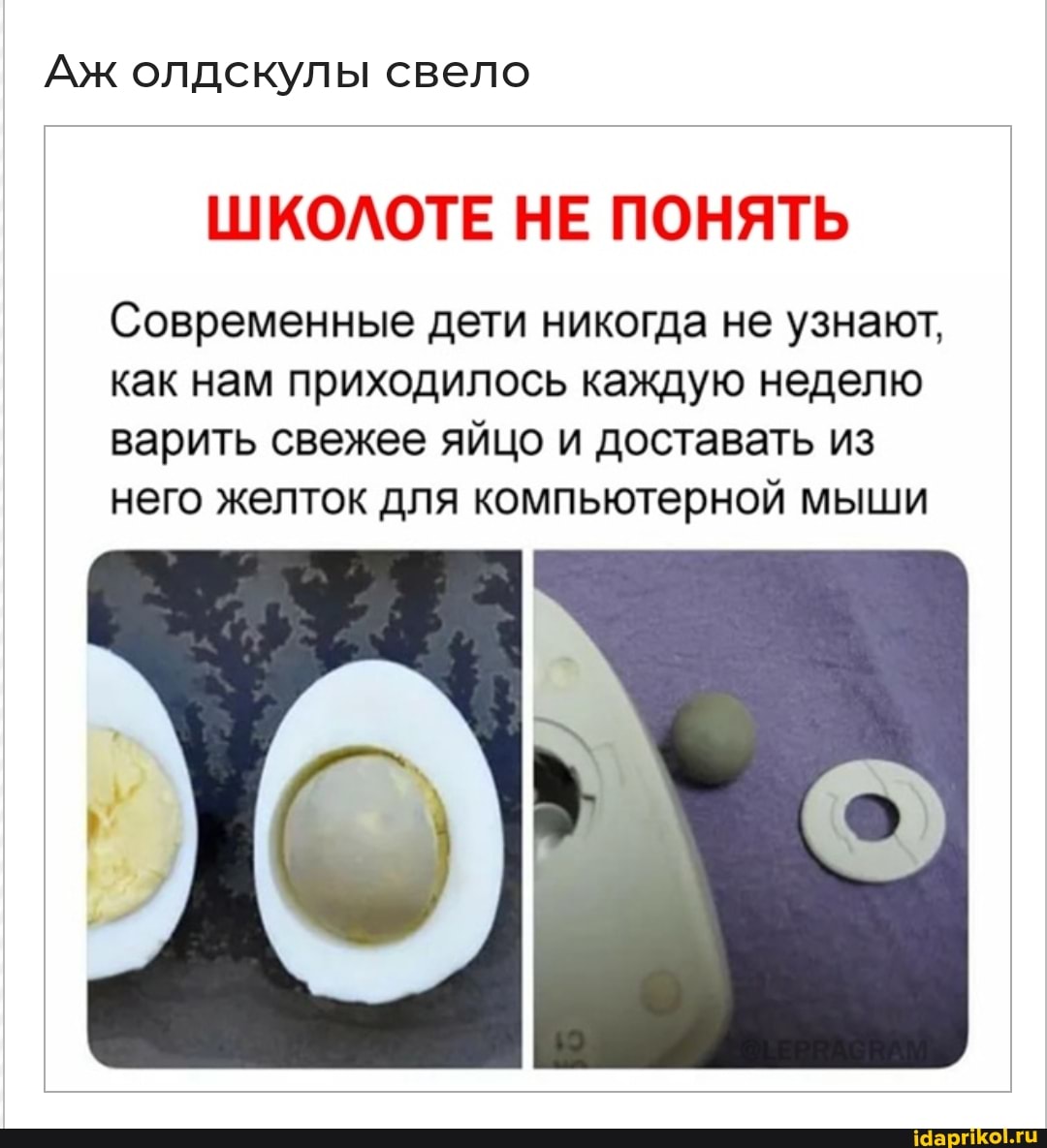 Аж олдскулы свело
Современные дети никогда не узнают, как нам приходилось каждую неделю варить свежее яйцо и доставать из него желток для компьютерной мыши