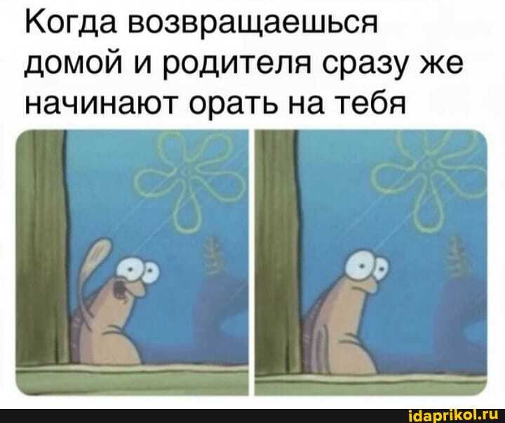 Когда возвращаешься домой и родителя сразу же
начинают орать на тебя