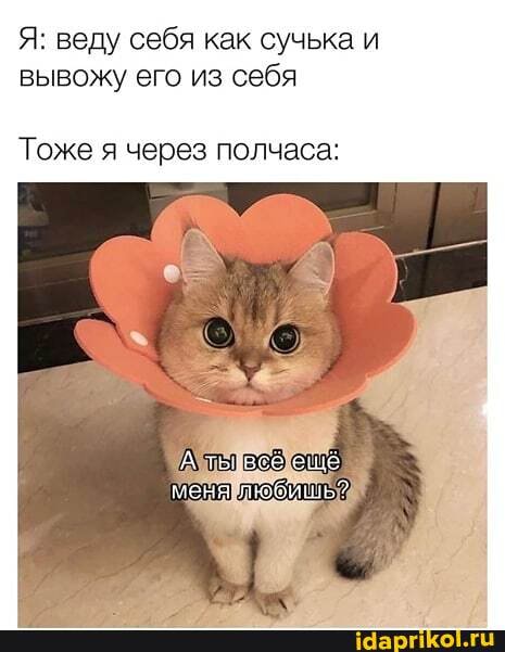 Я: веду себя как сучька и
вывожу его из себя
Тоже я через полчаса:
А ты всё ещё меня любишь?