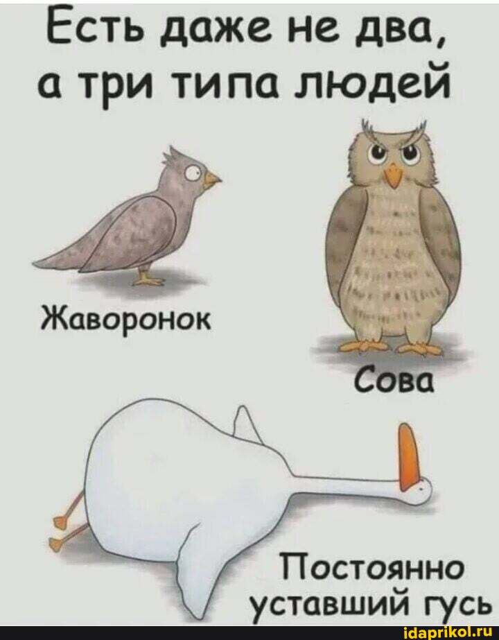 Есть даже не два, а три типа людей
Жаворонок
Сова
Постоянно иставинлам гусь