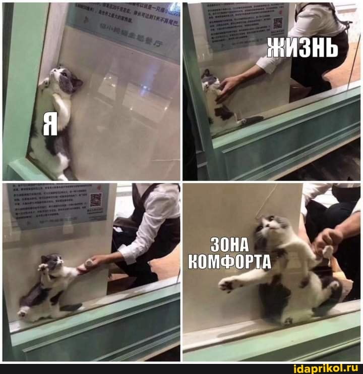 ЗОНА КОМФОРТА