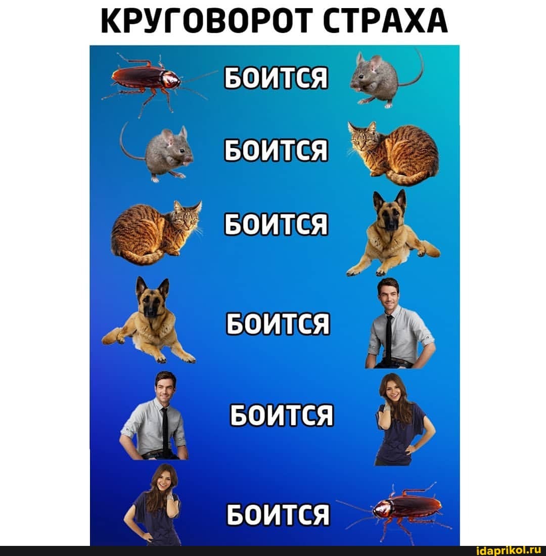 КРУГОВОРОТ СТРАХА
БОИТСЯ
БОИТСЯ
БОИТСЯ
БОИТСЯ
БОИТСЯ
БОИТСЯ