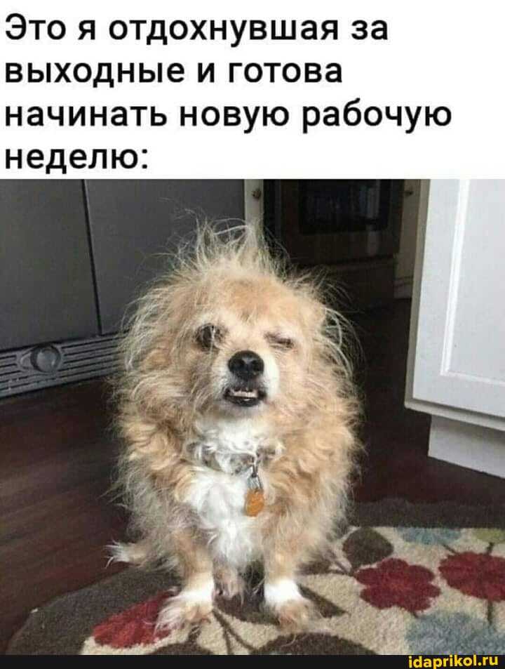 Это я отдохнувшая за выходные и готова начинать новую рабочую неделю: