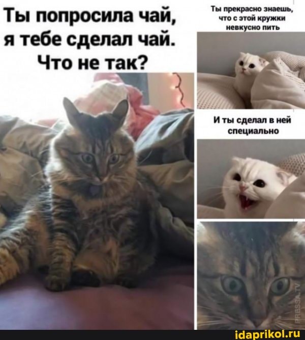 Ты попросила чай, я тебе сделал чай.
Что не так?