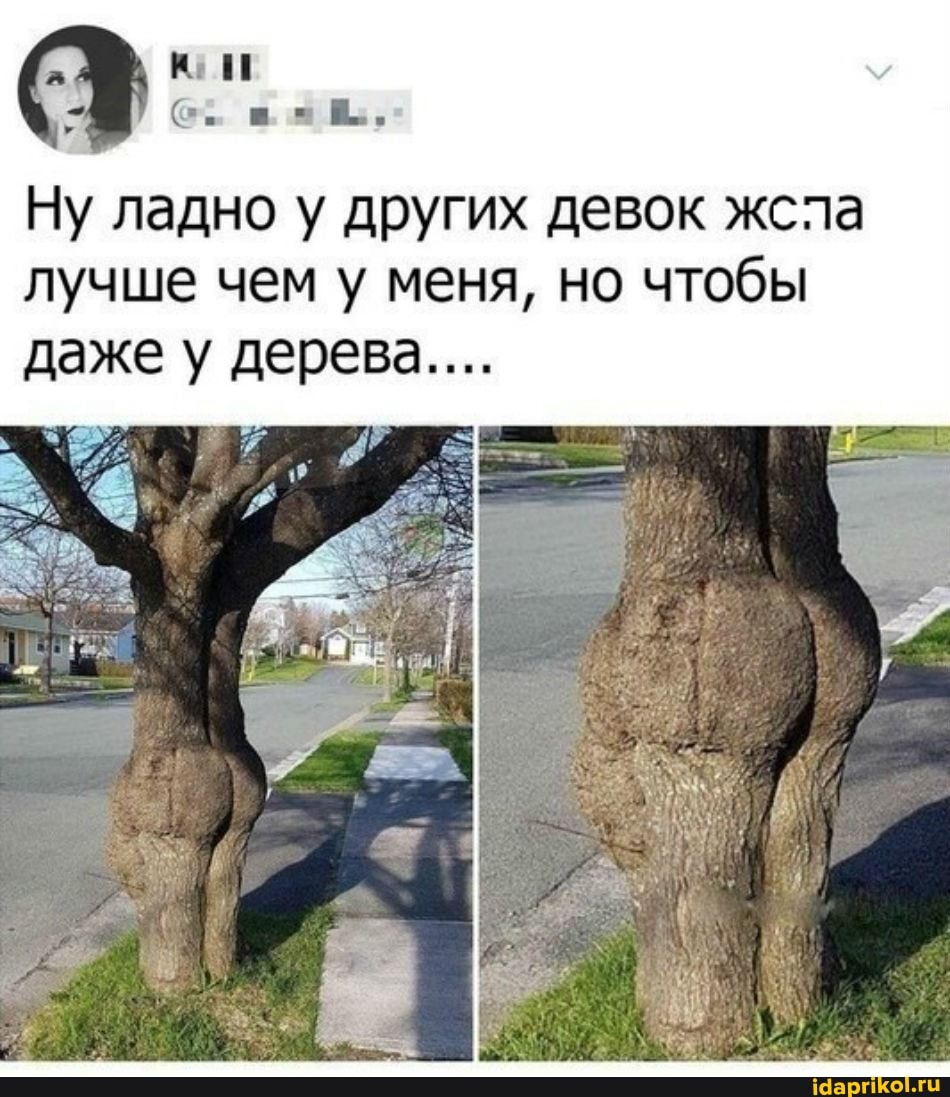Ну ладно у других девок жсла лучше чем у меня, но чтобы даже у дерева....