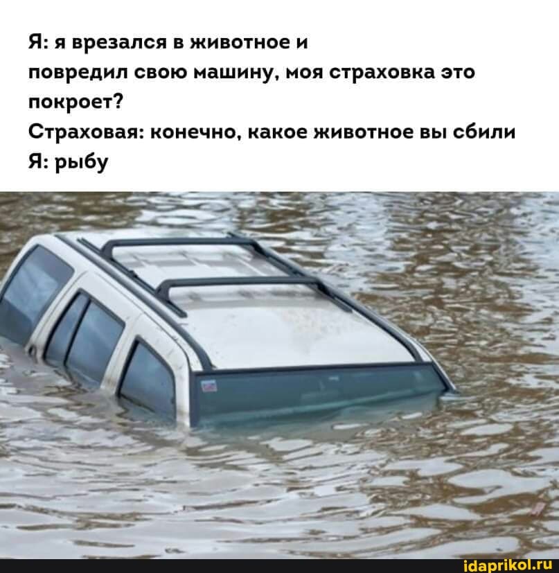 Я: я врезался в животное и повредил свою машину, моя страховка это покроет?
Страховая: конечно, какое животное вы сбили
Я: рыбу
