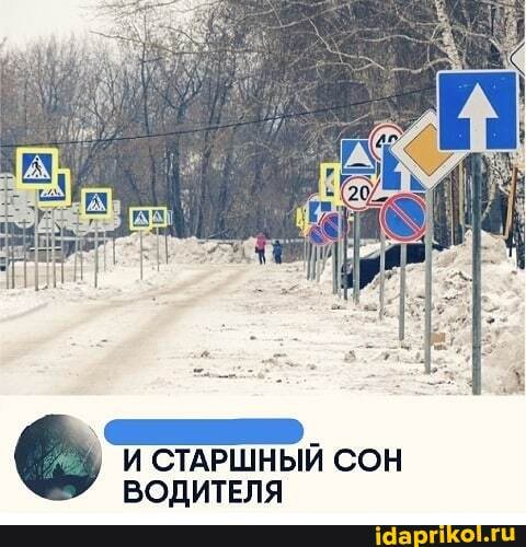 И СТАРШНЫЙ СОН ВОДИТЕЛЯ