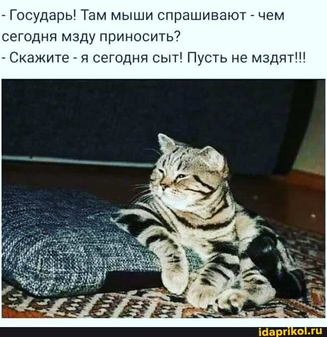- Государь! Там мыши спрашивают - чем сегодня мзду приносить?
- Скажите - я сегодня сыт! Пусть не мздят!!