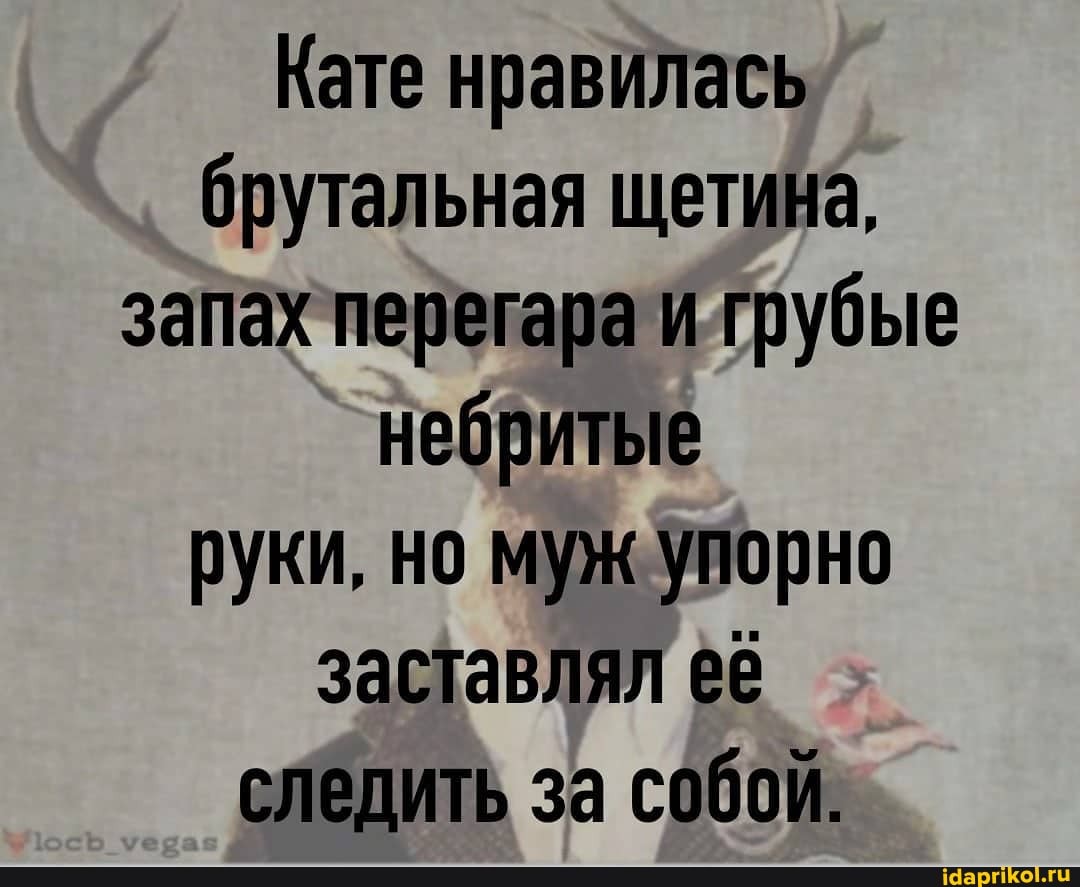 Кате нравилась брутальная щетина, запах перегара и грубые небритые руки. но муж упорно заставлял её следить за собой.