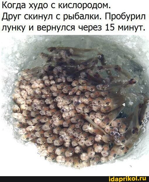 Когда худо с кислородом.
Друг скинул с рыбалки. Пробурил лунку и вернулся через 15 минут.