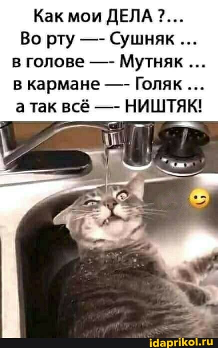 Как мои ДЕЛА 2...
Во рту Сушняк в голове Мутняк в кармане Голяк атак всё НИШТЯК!