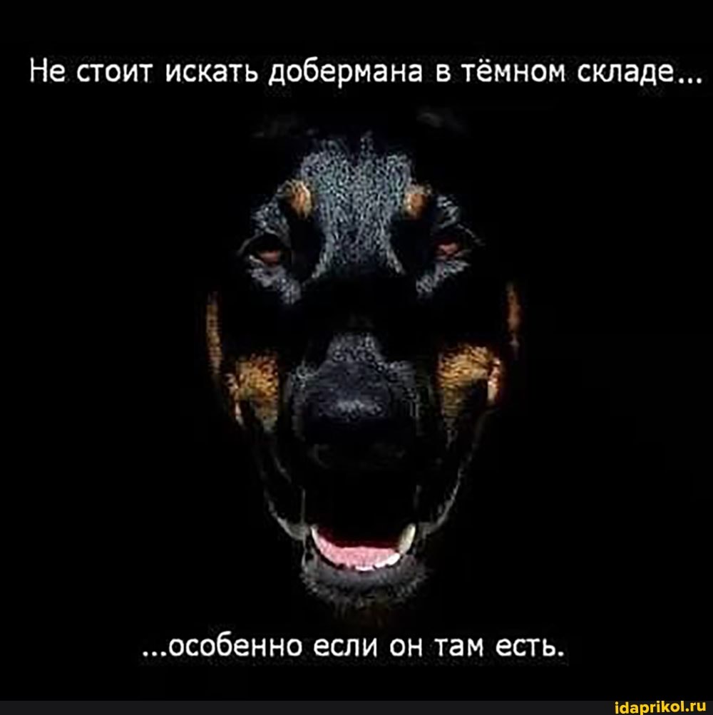 Не стоит искать добермана в тёмном складе...
...особенно если он там есть.