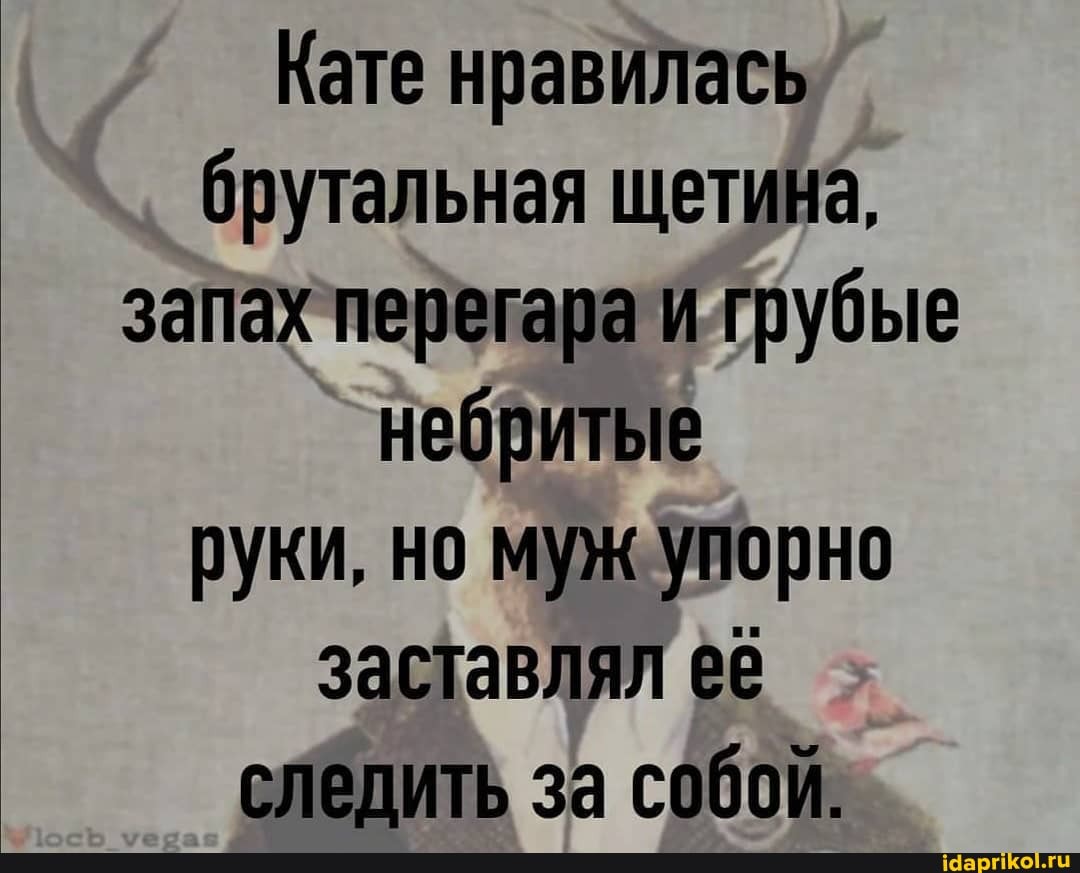 Кате нравилась брутальная щетина, запах перегара и грубые небритые руки, но муж упорно заставлял её следить за собой.