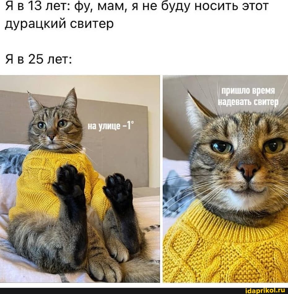 Яв В 13 лет: фу, мам, я не буду носить этот дурацкий свитер
пришло время
надевать свитер
Яв 25 лет:
ка улице