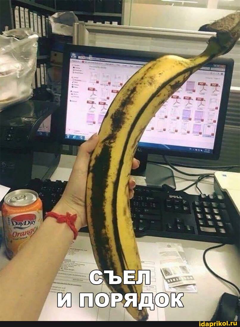 СЪЕЛ И ПОРЯДОК