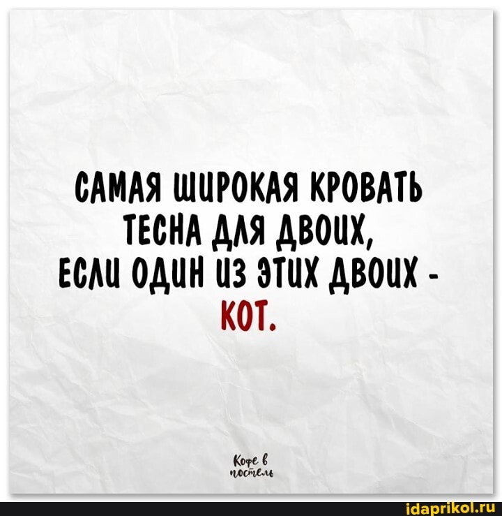 САМАЯ ШИРОКАЯ КРОВАТЬ ТЕСНА ДАЯ ДВОЦХ,
ЕСАЦ ОДИН ИЗ ЭТИХ ДВОЦХ -
Кот.