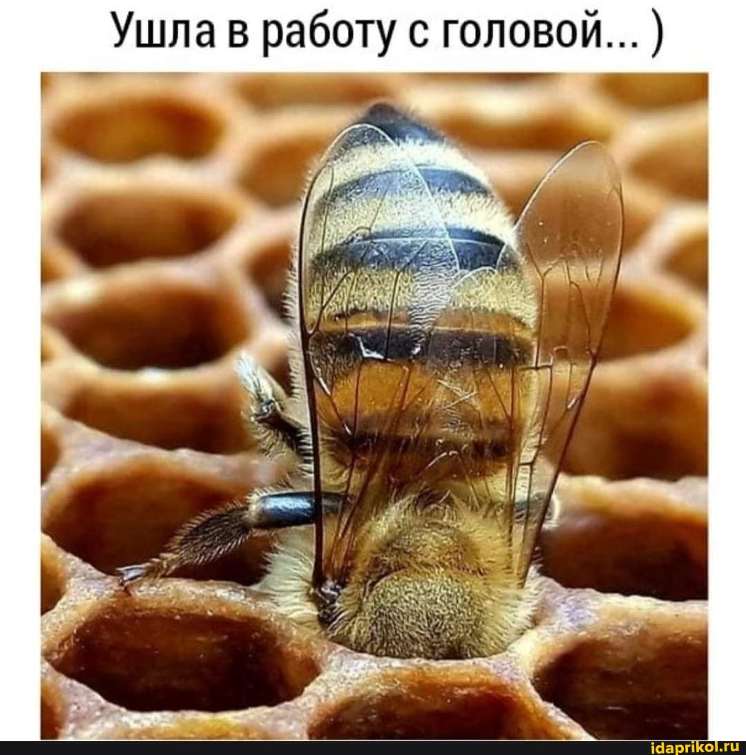 Ушла в работу головой...)