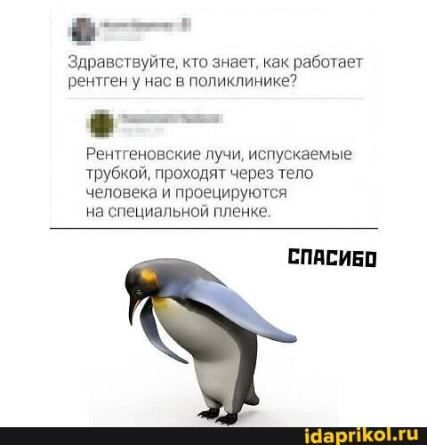 Здравствуйте, кто знает, как работает рентген у нас в поликлинике?
Рентгеновские лучи, испускаемые трубкой, проходят через тело человека и проецируются
на специальной пленке.
СПАСИБО