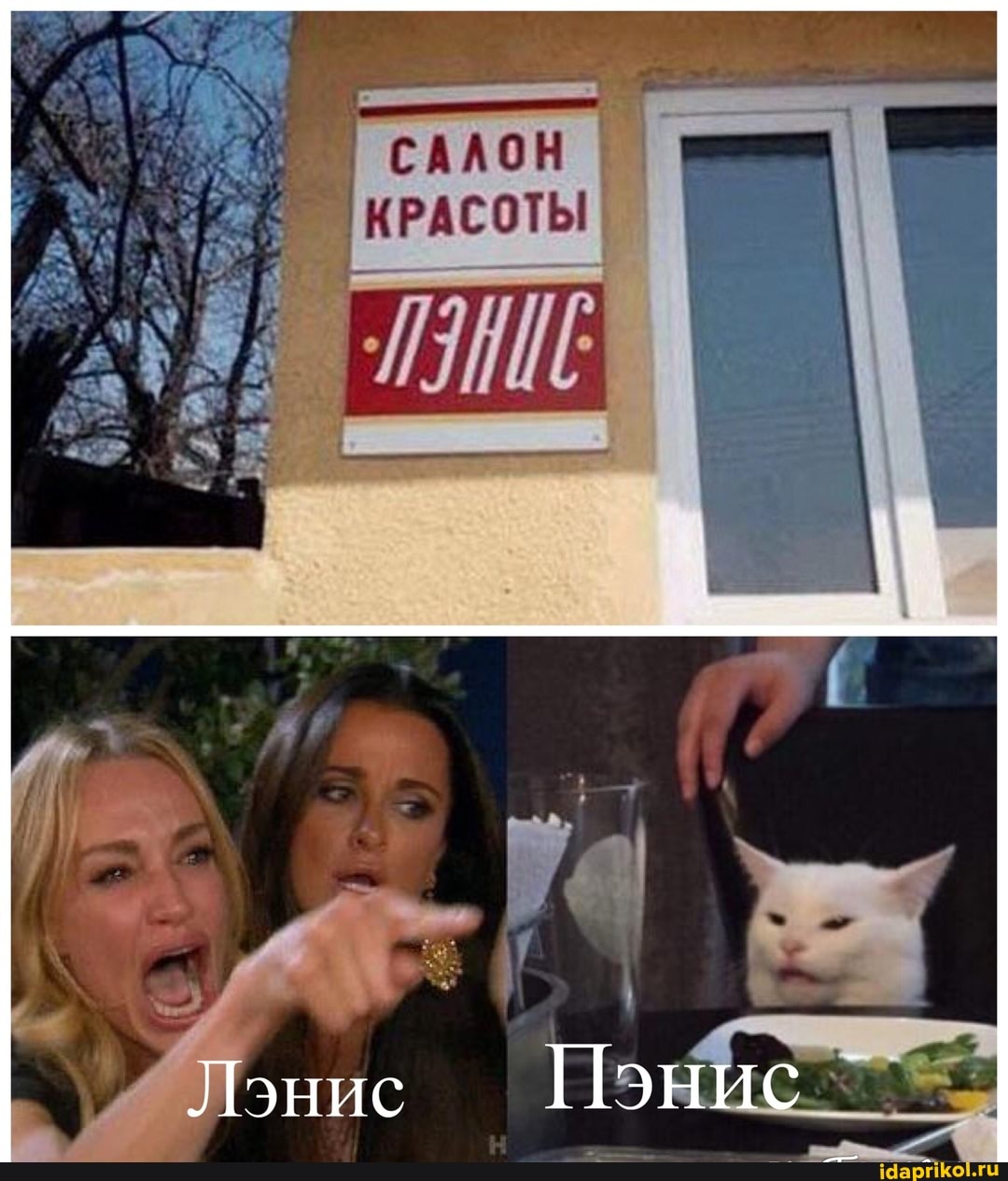 КРАСОТЫ
Лэнис