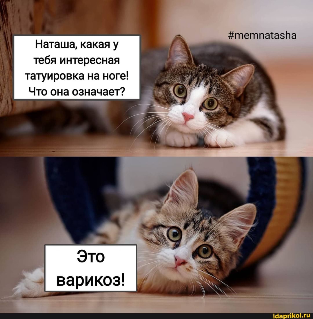 Наташа, какая у
тебя интересная татуировка на ноге!
Что она означает?
Это варикоз!