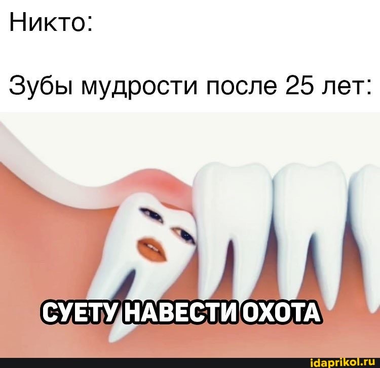 Никто:
Зубы мудрости после 25 лет:
СУЕТУ ОХОТА