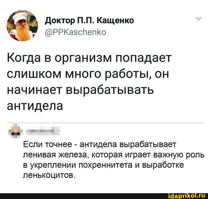 Доктор П.П. Кащенко
@РРКазспепко
Когда в организм попадает слишком много работы, он начинает вырабатывать антидела
Если точнее - антидела вырабатывает ленивая железа, которая играет важную роль в укреплении похреннитета и выработке ленькоцитов.