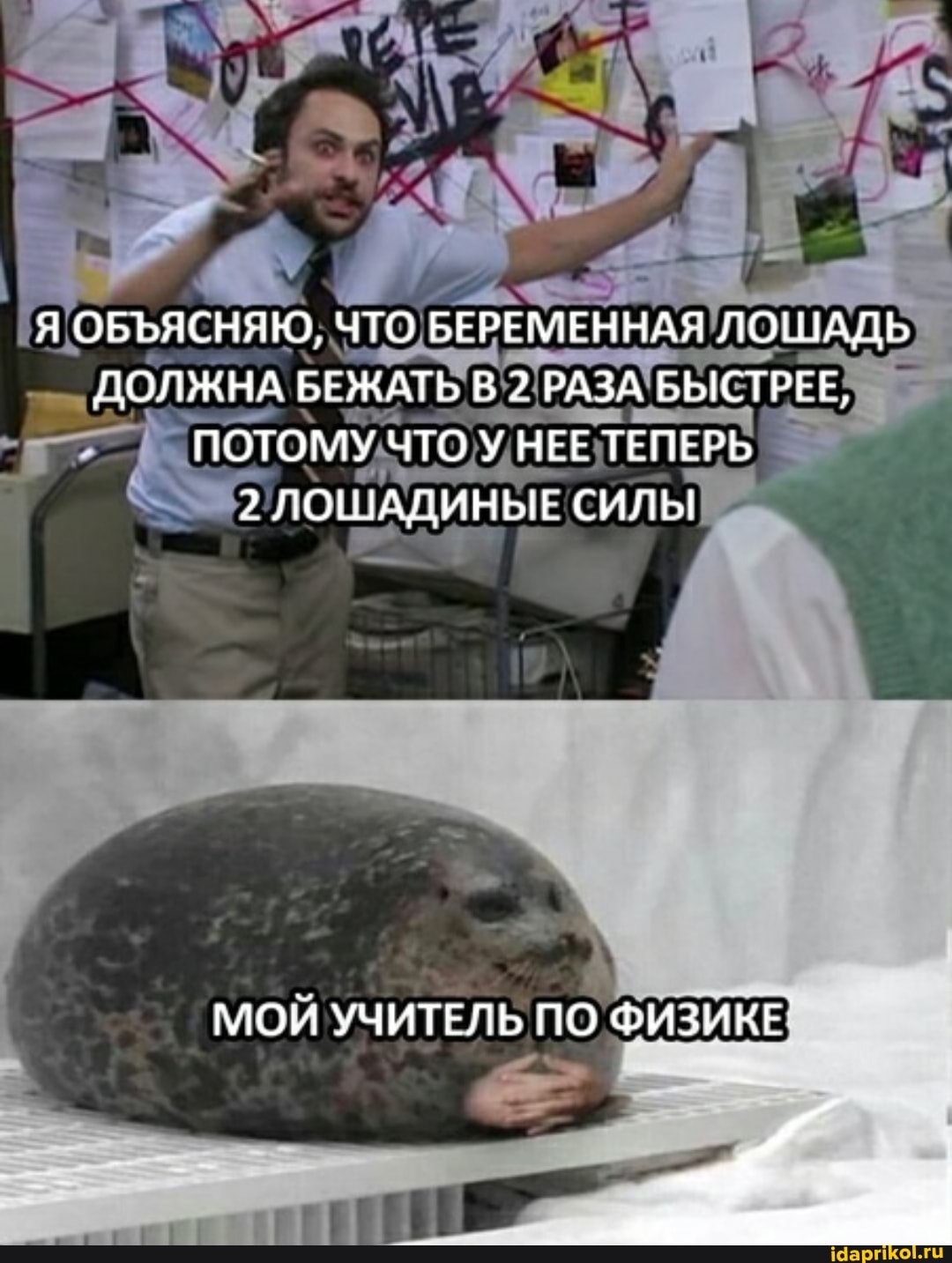 Я ОБЪЯСНЯЮ, ЧТО БЕРЕМЕННАЯ ЛОШАДЬ ДОЛЖНА БЕЖАТЬ В РАЗА БЫСТРЕЕ,
ПОТОМУ ЧТО У НЕЕ ТЕПЕРЬ
2 ЛОШАДИНЫЕ СИЛЫ
МОИ УЧИТЕЛЬ ПО ФИЗИКЕ'
