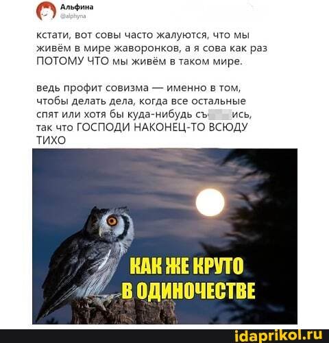 кстати, вот совы часто жалуются, что мы живём в мире жаворонков, а я сова как раз
ПОТОМУ ЧТО мы живём в таком мире.
ведь профит совизма - именно в том, чтобы делать дела, когда все остальные спят или хотя бы куда-нибудь ись, так что ГОСПОДИ ТО ВСЮДУ тихо
КАК ЖЕКРУТО
ВОДИНОЧЕСТВЕ