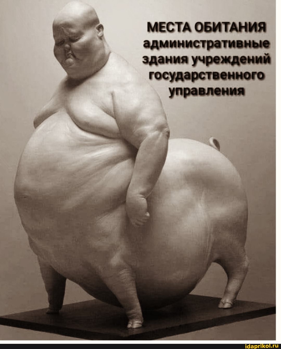 МЕСТА ОБИТАНИЯ
административные
учреждений