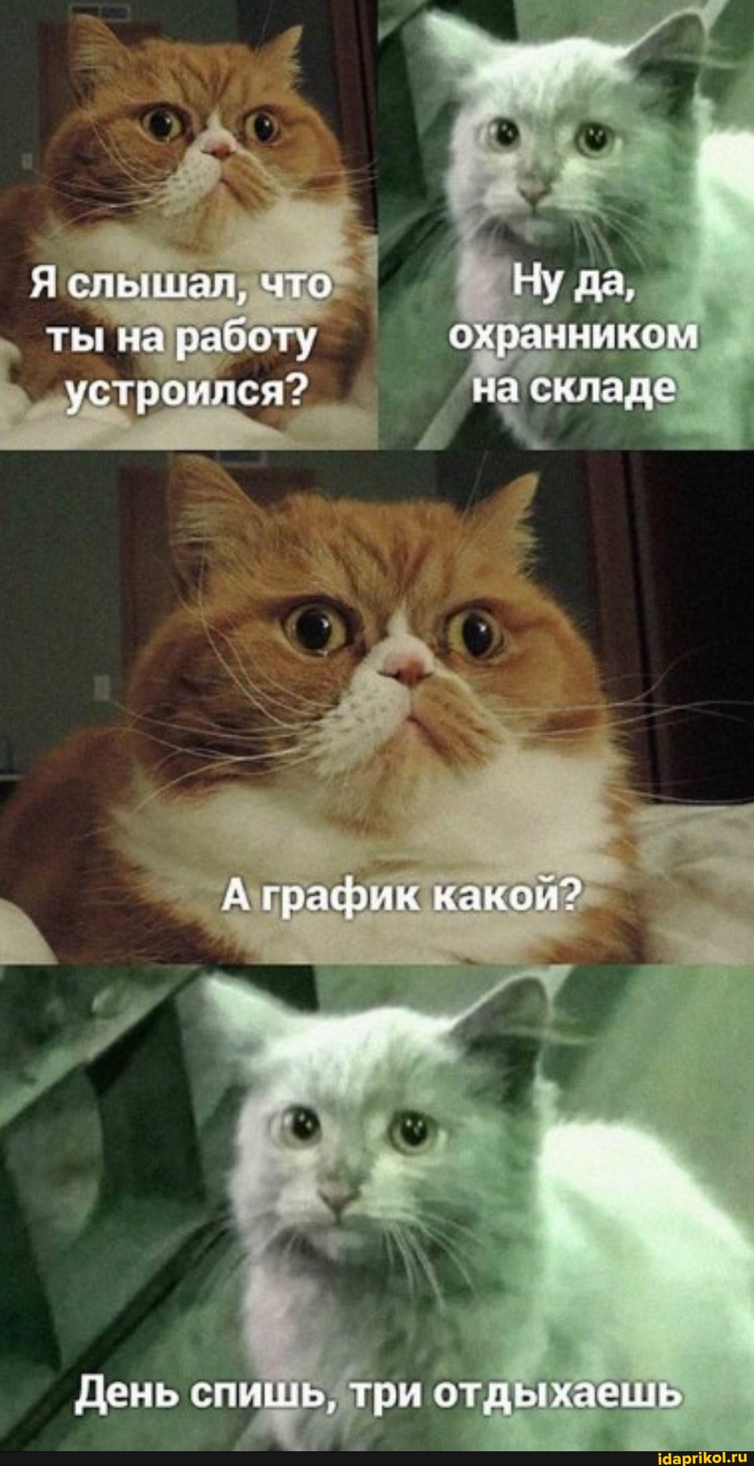 Я сльшал, что I Ну да, ты на работу охранникам устроился? на складе
А график клкои?
День спишь, три отдыхаешь