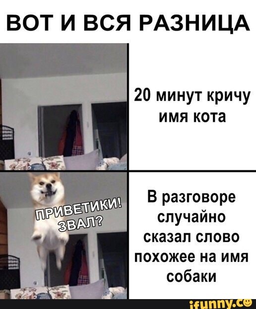 ВОТ И ВСЯ РАЗНИЦА
В разговоре
случайно
сказал слово
похожее на имя
собаки