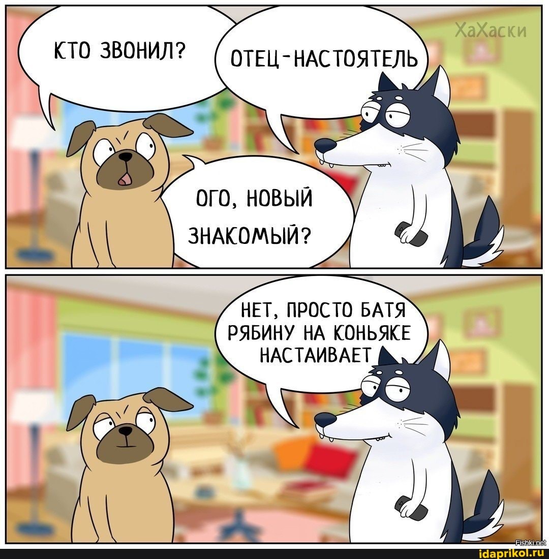КТО
ОГО, НОВЫЙ ЗНАКОМЫЙ?
НЕТ, ПРОСТО БАТЯ РЯБИНУ НА КОНЬЯКЕ
НАСТАИВАЕТ