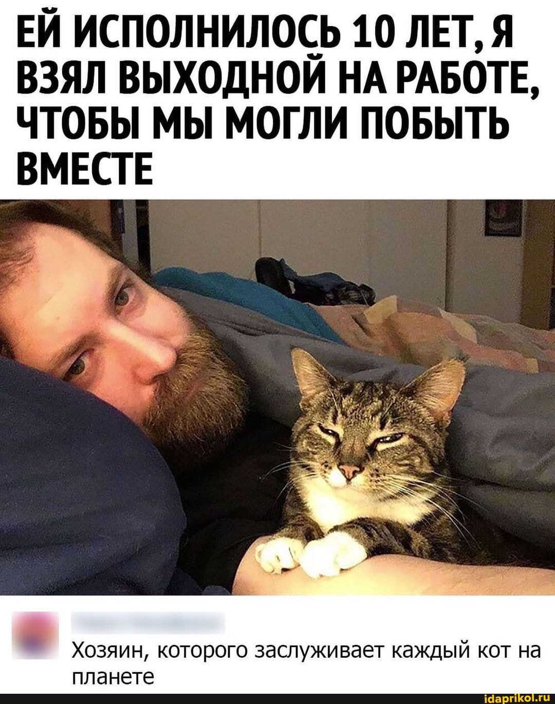 ЕЙ ИСПОЛНИЛОСЬ 10 ЛЕТ, Я ВЗЯЛ ВЫХОДНОЙ НА РАБОТЕ,
ЧТОБЫ МЫ МОГЛИ ПОБЫТЬ
ВМЕСТЕ
Хозяин, которого заслуживает каждый кот на планете