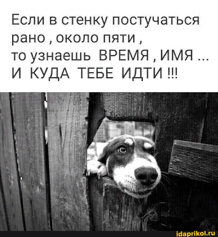 Если в стенку постучаться рано около пяти,
то узнаешь ВРЕМЯ, ИМЯ И КУДА ТЕБЕ ИДТИ