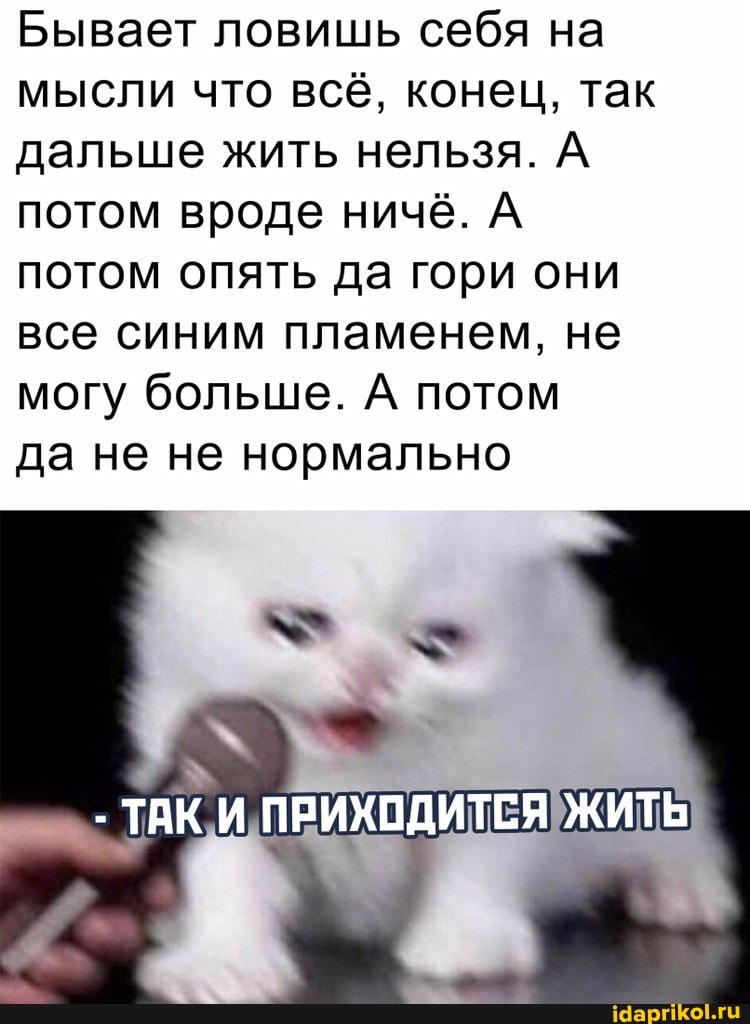 Бывает ловишь себя на мысли что всё, конец, так дальше жить нельзя. А потом вроде ничё. А потом опять да гори они все синим пламенем, не могу больше. А потом
да не не нормально
ТАК ПРИХОДИТСЯ ЖИТЬ
