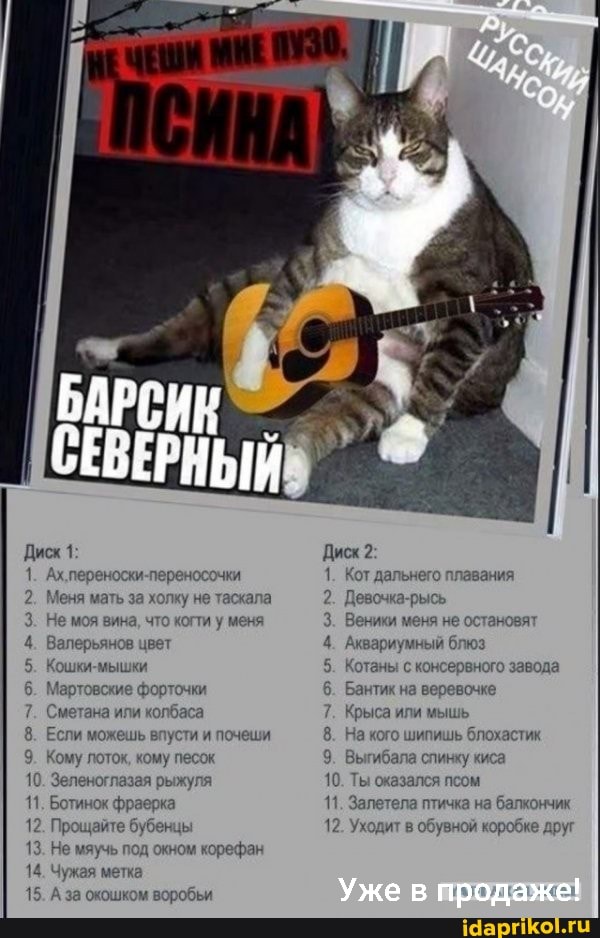 Диск 1:
1. Ахлереноски-переносочки
2. Меня мать за холку не таскала
3. Не моя вина, что когти у меня
4. Валерьянов цвет
5. Кошки-мышки
6. Мартовские форточки
7. Сметана или колбаса
8. Если можешь впусти и почеши
9. Кому лоток, кому песок
10. Зеленоглазая рыжуля
11. Ботинок фраерка
12. Прощайте бубенцы
13. Не мяучь под окном корефан
14. Чужая метка
15. А за окошком воробьи
Диск 2:
1. Кот дальнего плавания
2. Девочка-рысь
3. Веники меня не остановят
4. Аквариумный блюз
5. Котаны с консервного завода
6. Бантик на веревочке
7. Крыса или мышь
8. На кого шипишь блохастик
9. Выгибала спинку киса
10. Ты оказался псом
11. Залетела птичка на балкончик
12. Уходит в обувной коробке друг
Уже продаже!