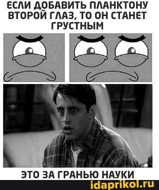 ЕСЛИ ДОБАВИТЬ ПЛАНКТОНУ ВТОРОЙ ГЛАЗ, ТО ОН СТАНЕТ ГРУСТНЫМ
ЭТО ЗА ГРАНЬЮ НАУКИ