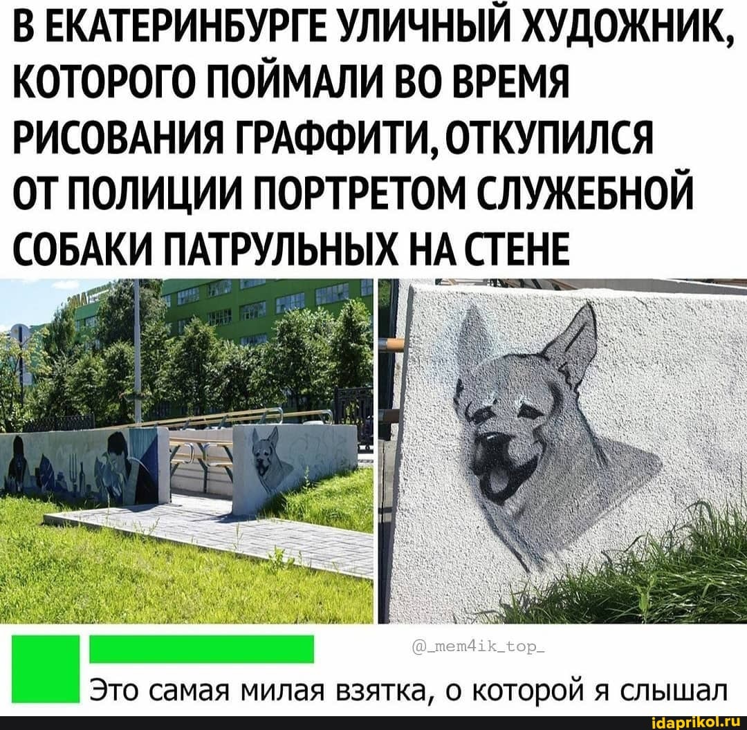 В ЕКАТЕРИНБУРГЕ УЛИЧНЫЙ ХУДОЖНИК,
КОТОРОГО ПОЙМАЛИ ВО ВРЕМЯ
РИСОВАНИЯ ГРАФФИТИ, ОТКУПИЛСЯ
ОТПОЛИЦИИ ПОРТРЕТОМ СЛУЖЕБНОЙ
СОБАКИ ПАТРУЛЬНЫХ НА СТЕНЕ
Это самая милая взятка, о которой я слышал