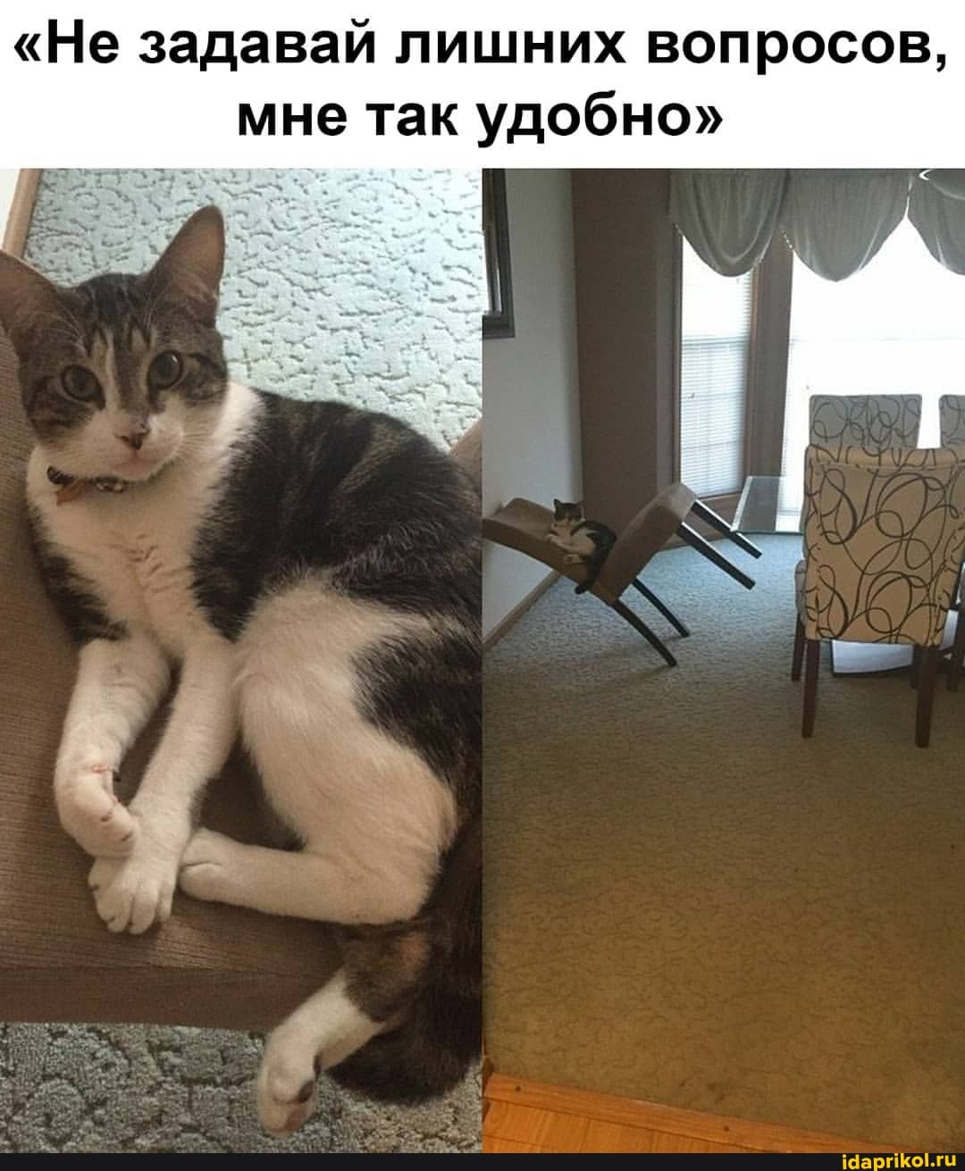 "Не задавай лишних вопросов, мне так удобно"