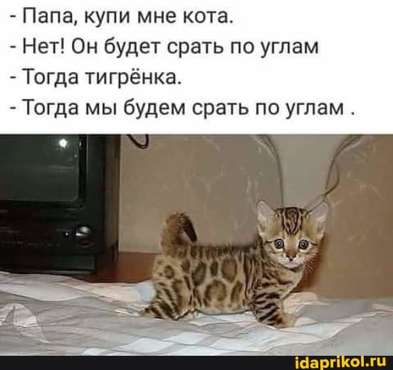 - Папа, купи мне кота.
- Нет! Он будет срать по углам
- Тогда тигрёнка.
- Тогда мы будем срать по углам.