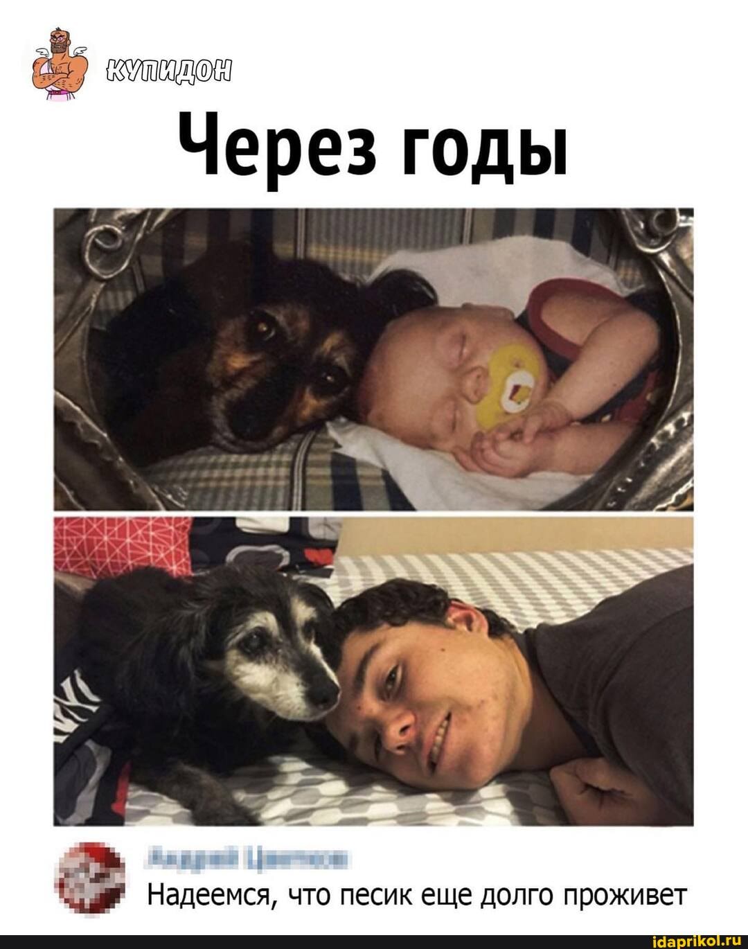 Через годы
Надеемся, что песик еще долго проживет