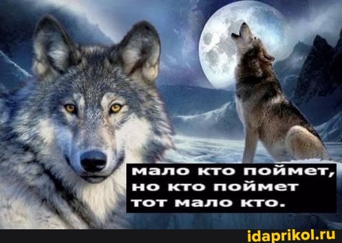 но кто
поймет
тот мало кто-
