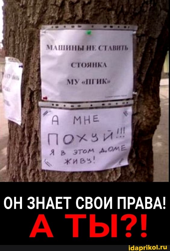 ИНЫЕ НЕ СТАВИТЬ
СТОЯНКА
МУ "ИГИК"
МНЕ
ОН ЗНАЕТ СВОИ ПРАВА!