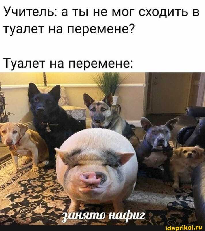 Учитель: а ты не мог сходить туалет на перемене?
Туалет на перемене:
занато