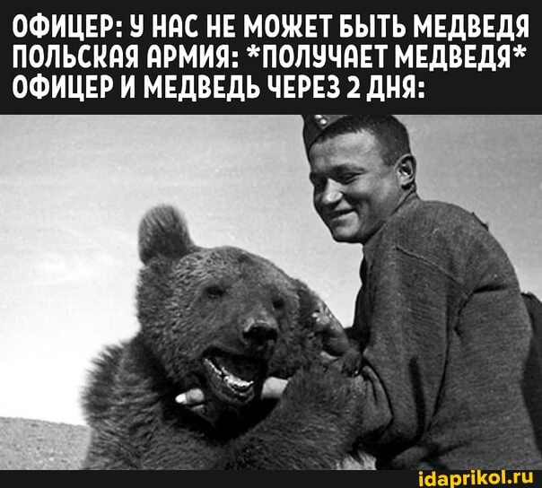 ОФИЦЕР: У НАС НЕ МОЖЕТ БЫТЬ МЕДВЕДЯ ПОЛЬСКАЯ АРМИЯ: *ПОЛУЧАЕТ МЕДВЕДЯ*
ОФИЦЕР И МЕДВЕДЬ ЧЕРЕЗ 2 ДНЯ: